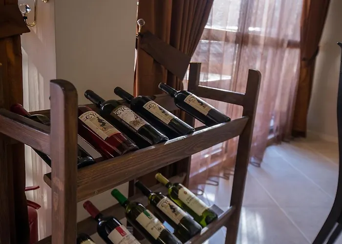 Aparthotel Macon Wellness & 3*